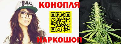 ешки Шебекино
