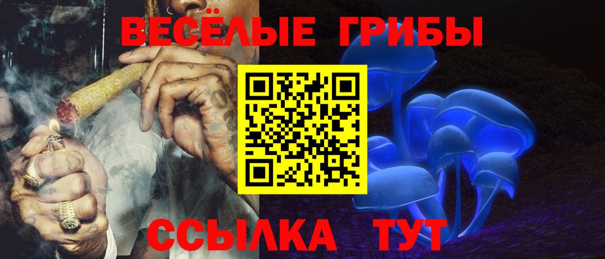 Псилоцибиновые грибы MAGIC MUSHROOMS  Вход с VPN  Баксан  Галлюциногенные грибы GOLDEN TEACHER 